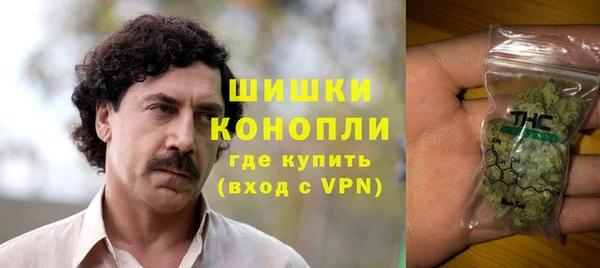 гидра Балахна
