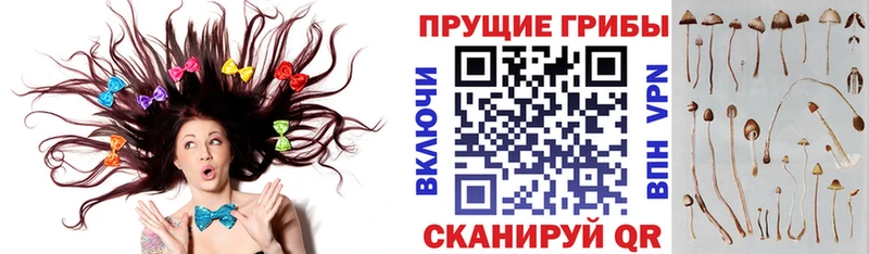 Галлюциногенные грибы Cubensis МЕГА ONION Лермонтов